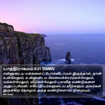 யாத்திராகமம் 8:21 TAMIRV Bible Verse Image