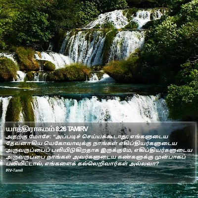 யாத்திராகமம் 8:26 TAMIRV Bible Verse Image
