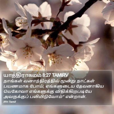 யாத்திராகமம் 8:27 TAMIRV Bible Verse Image