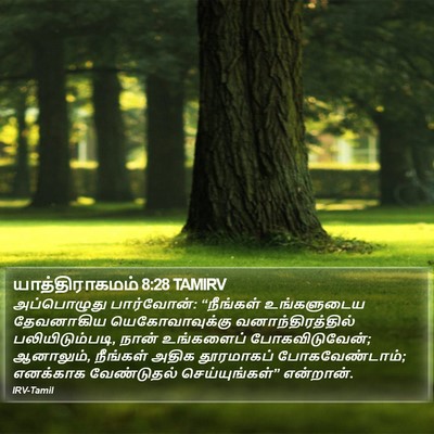 யாத்திராகமம் 8:28 TAMIRV Bible Verse Image