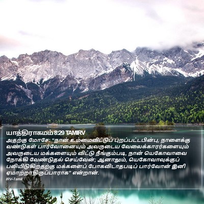யாத்திராகமம் 8:29 TAMIRV Bible Verse Image