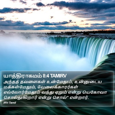 யாத்திராகமம் 8:4 TAMIRV Bible Verse Image