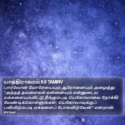 யாத்திராகமம் 8:8 TAMIRV Bible Verse Image