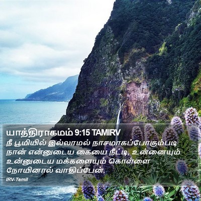 யாத்திராகமம் 9:15 TAMIRV Bible Verse Image
