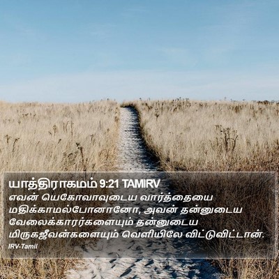 யாத்திராகமம் 9:21 TAMIRV Bible Verse Image