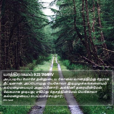 யாத்திராகமம் 9:23 TAMIRV Bible Verse Image