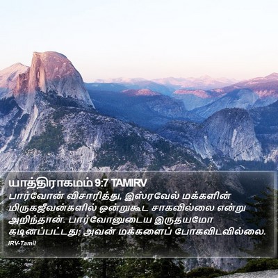 யாத்திராகமம் 9:7 TAMIRV Bible Verse Image