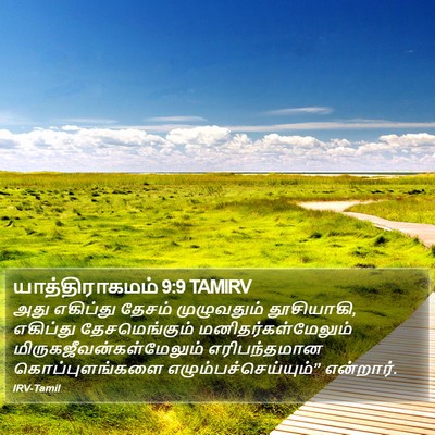 யாத்திராகமம் 9:9 TAMIRV Bible Verse Image