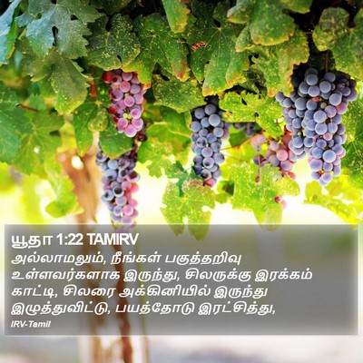 யூதா 1:22 TAMIRV Bible Verse Image