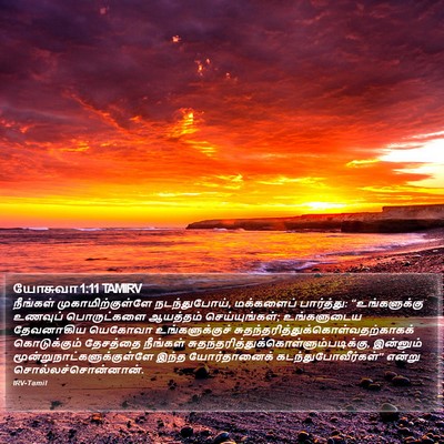யோசுவா 1:11 TAMIRV Bible Verse Image
