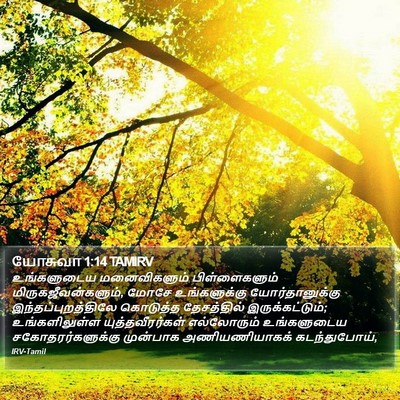 யோசுவா 1:14 TAMIRV Bible Verse Image