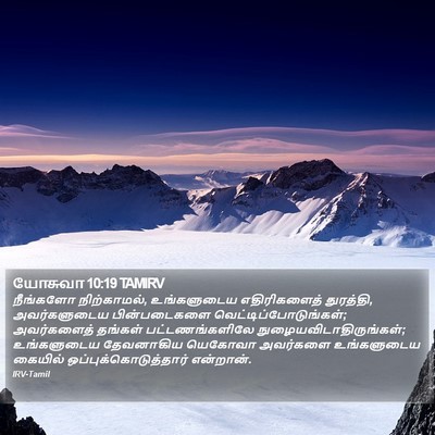 யோசுவா 10:19 TAMIRV Bible Verse Image