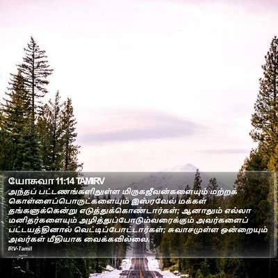 யோசுவா 11:14 TAMIRV Bible Verse Image