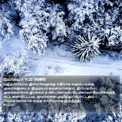 யோசுவா 11:20 TAMIRV Bible Verse Image