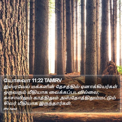 யோசுவா 11:22 TAMIRV Bible Verse Image