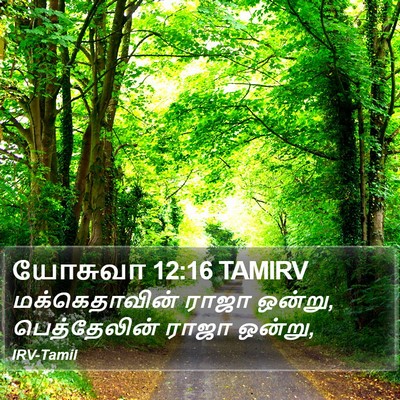 யோசுவா 12:16 TAMIRV Bible Verse Image