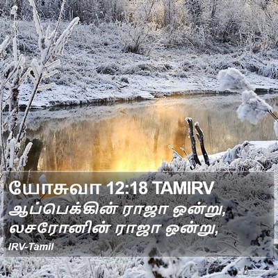 யோசுவா 12:18 TAMIRV Bible Verse Image