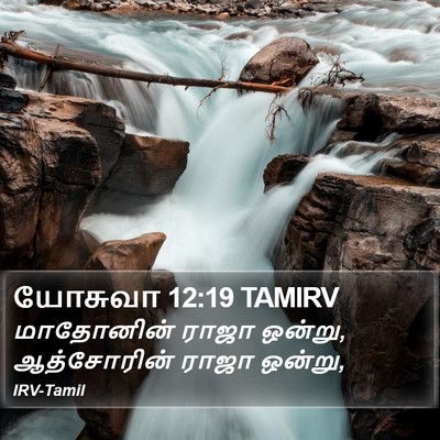 யோசுவா 12:19 TAMIRV Bible Verse Image