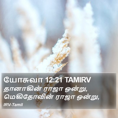 யோசுவா 12:21 TAMIRV Bible Verse Image