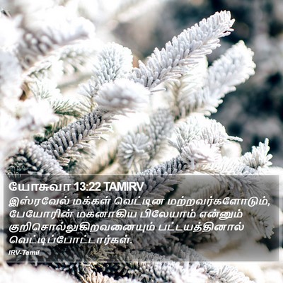 யோசுவா 13:22 TAMIRV Bible Verse Image
