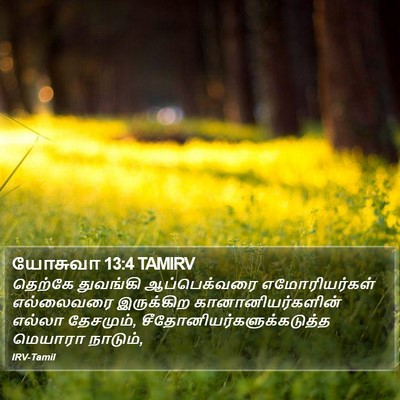 யோசுவா 13:4 TAMIRV Bible Verse Image