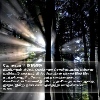 யோசுவா 14:10 TAMIRV Bible Verse Image