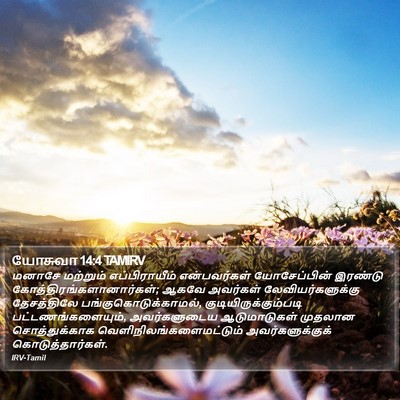 யோசுவா 14:4 TAMIRV Bible Verse Image