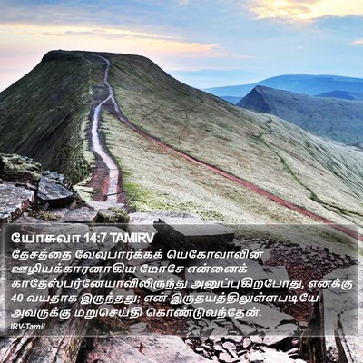 யோசுவா 14:7 TAMIRV Bible Verse Image