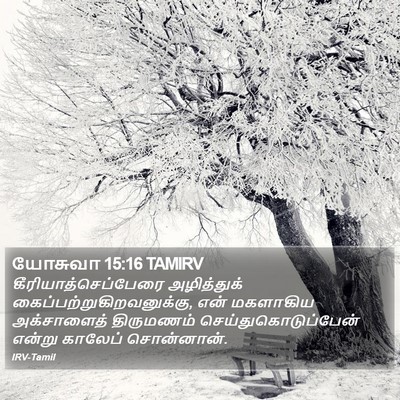யோசுவா 15:16 TAMIRV Bible Verse Image