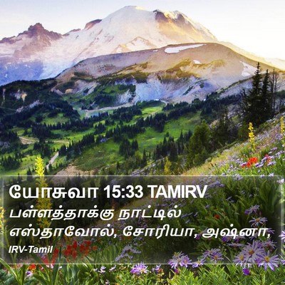 யோசுவா 15:33 TAMIRV Bible Verse Image