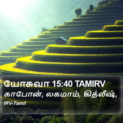 யோசுவா 15:40 TAMIRV Bible Verse Image