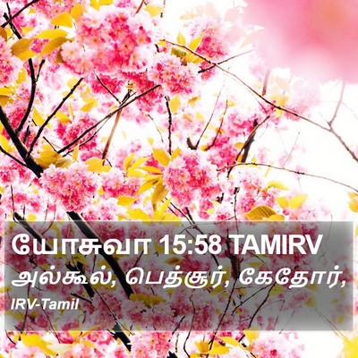 யோசுவா 15:58 TAMIRV Bible Verse Image