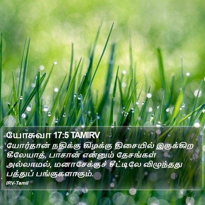 யோசுவா 17:5 TAMIRV Bible Verse Image
