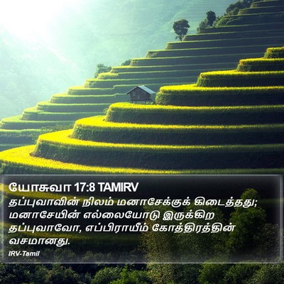 யோசுவா 17:8 TAMIRV Bible Verse Image