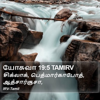 யோசுவா 19:5 TAMIRV Bible Verse Image