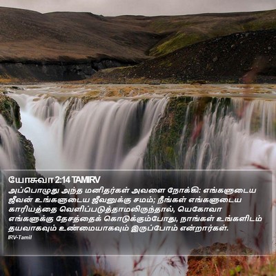 யோசுவா 2:14 TAMIRV Bible Verse Image