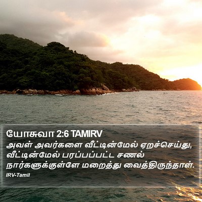 யோசுவா 2:6 TAMIRV Bible Verse Image
