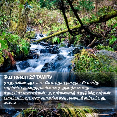 யோசுவா 2:7 TAMIRV Bible Verse Image