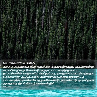 யோசுவா 20:4 TAMIRV Bible Verse Image
