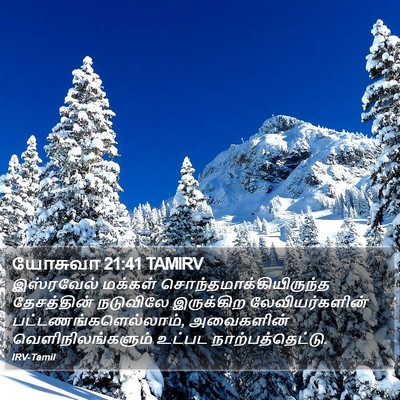 யோசுவா 21:41 TAMIRV Bible Verse Image