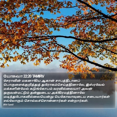 யோசுவா 22:20 TAMIRV Bible Verse Image