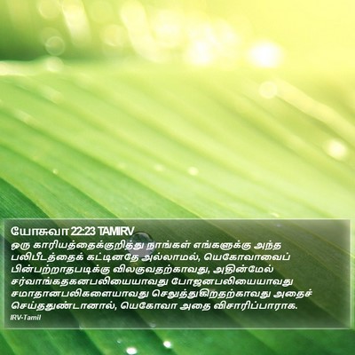 யோசுவா 22:23 TAMIRV Bible Verse Image