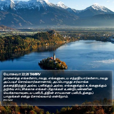 யோசுவா 22:28 TAMIRV Bible Verse Image