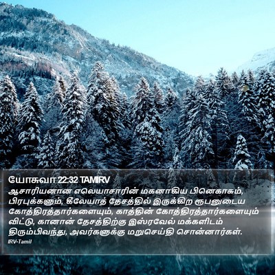 யோசுவா 22:32 TAMIRV Bible Verse Image