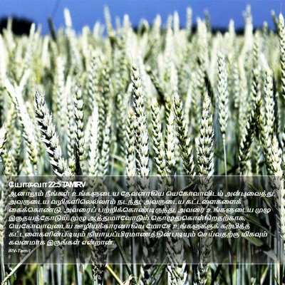யோசுவா 22:5 TAMIRV Bible Verse Image