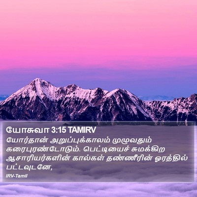 யோசுவா 3:15 TAMIRV Bible Verse Image