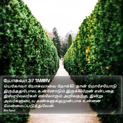 யோசுவா 3:7 TAMIRV Bible Verse Image