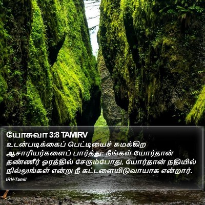 யோசுவா 3:8 TAMIRV Bible Verse Image