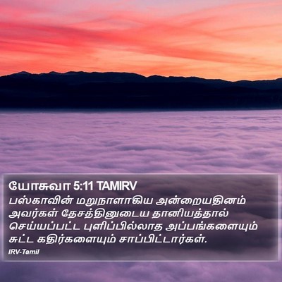 யோசுவா 5:11 TAMIRV Bible Verse Image