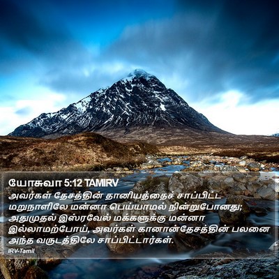யோசுவா 5:12 TAMIRV Bible Verse Image